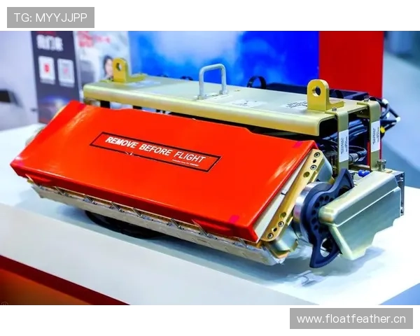 搏天堂平台：行业发展趋势与未来创新方向的深度分析